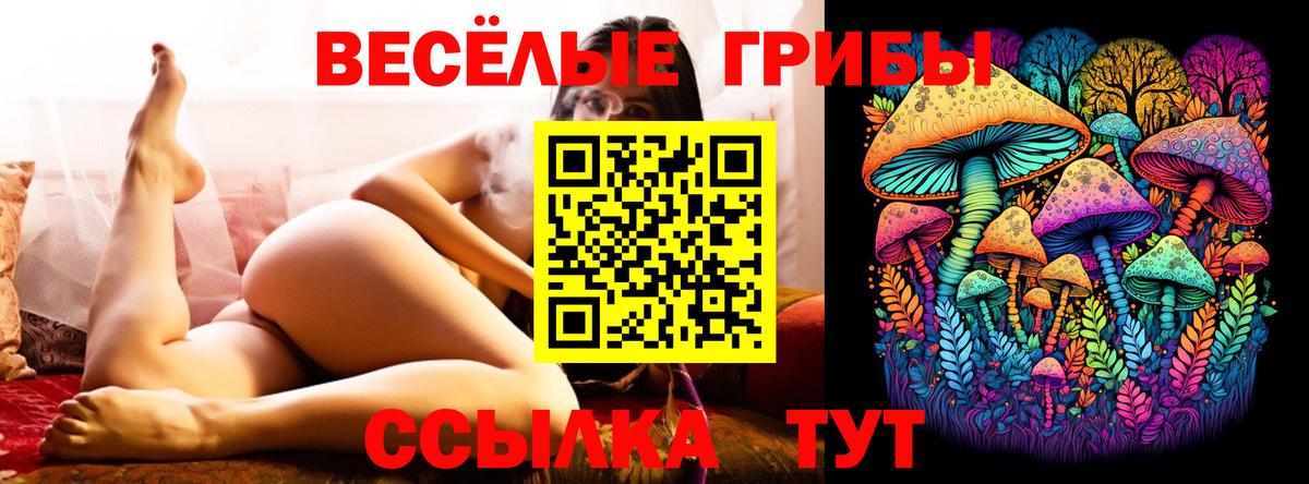 Псилоцибиновые грибы GOLDEN TEACHER Кострома